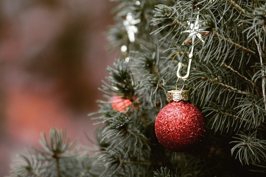 Christbaum (c)pixabay