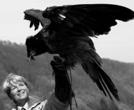 Bettina Fentzloff mit Seeadler